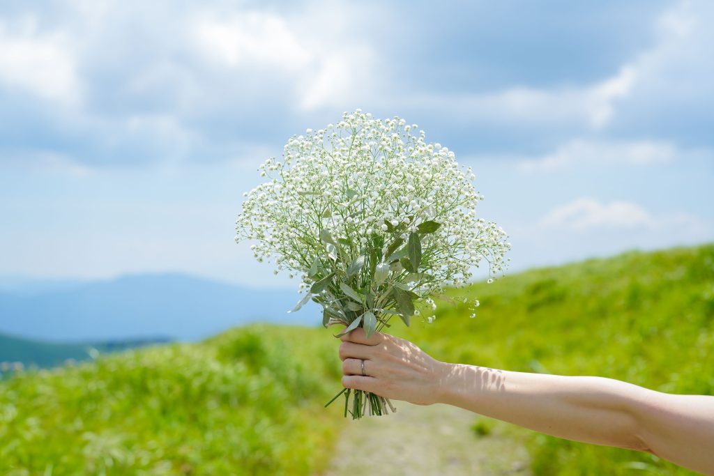 Person holding a bouquet of baby's breath